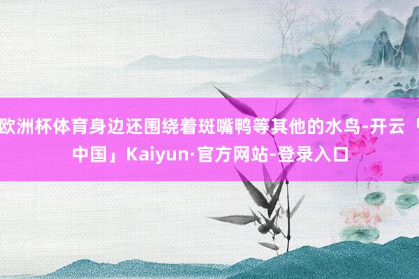 欧洲杯体育身边还围绕着斑嘴鸭等其他的水鸟-开云「中国」Kaiyun·官方网站-登录入口