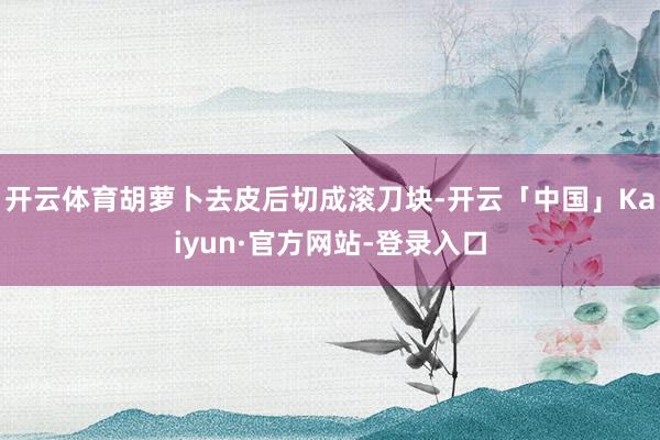开云体育胡萝卜去皮后切成滚刀块-开云「中国」Kaiyun·官方网站-登录入口