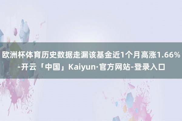 欧洲杯体育历史数据走漏该基金近1个月高涨1.66%-开云「中国」Kaiyun·官方网站-登录入口