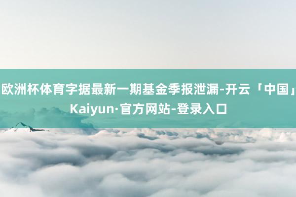 欧洲杯体育字据最新一期基金季报泄漏-开云「中国」Kaiyun·官方网站-登录入口