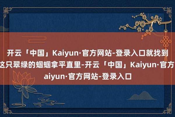 开云「中国」Kaiyun·官方网站-登录入口就找到一只蝈蝈！把这只翠绿的蝈蝈拿平直里-开云「中国」Kaiyun·官方网站-登录入口