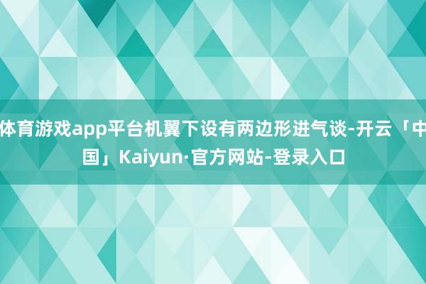 体育游戏app平台机翼下设有两边形进气谈-开云「中国」Kaiyun·官方网站-登录入口