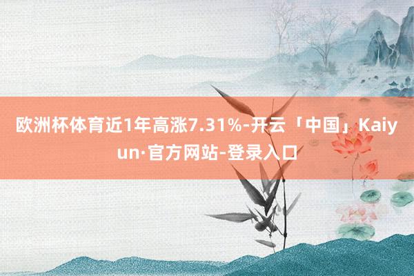 欧洲杯体育近1年高涨7.31%-开云「中国」Kaiyun·官方网站-登录入口
