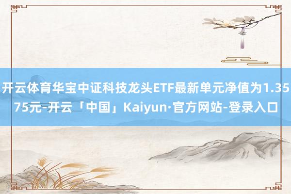 开云体育华宝中证科技龙头ETF最新单元净值为1.3575元-开云「中国」Kaiyun·官方网站-登录入口