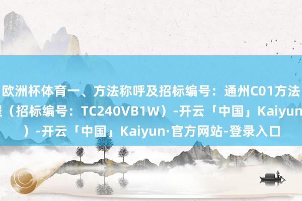 欧洲杯体育一、方法称呼及招标编号：通州C01方法空置单位精装修工程（招标编号：TC240VB1W）-