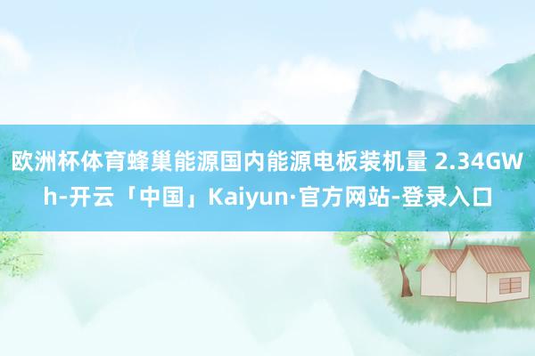 欧洲杯体育蜂巢能源国内能源电板装机量 2.34GWh-开云「中国」Kaiyun·官方网站-登录入口