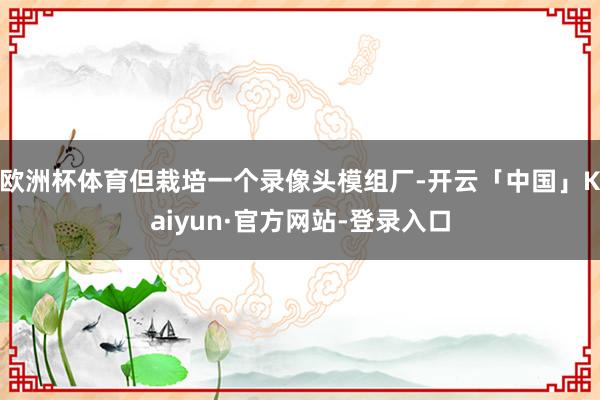 欧洲杯体育但栽培一个录像头模组厂-开云「中国」Kaiyun·官方网站-登录入口