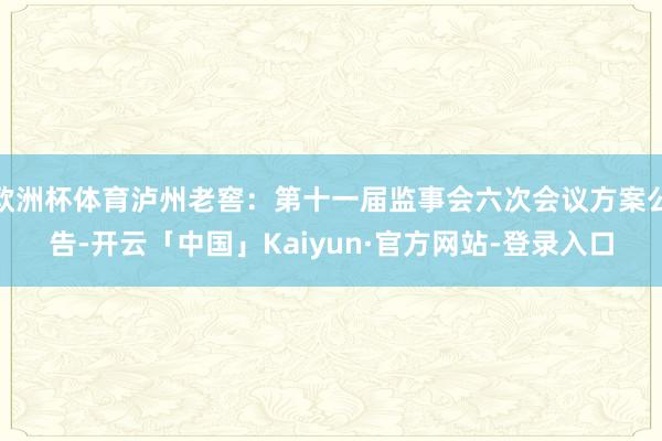 欧洲杯体育泸州老窖：第十一届监事会六次会议方案公告-开云「中国」Kaiyun·官方网站-登录入口