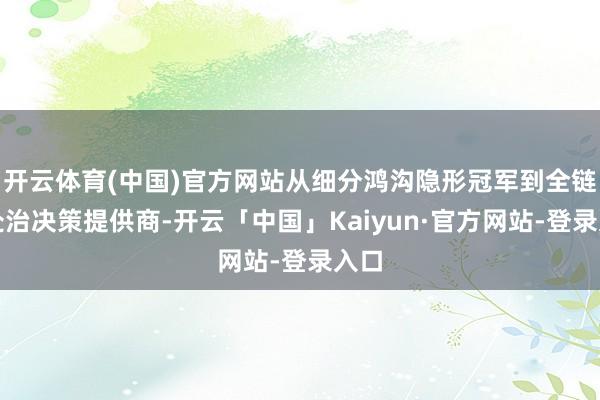 开云体育(中国)官方网站从细分鸿沟隐形冠军到全链条处治决策提供商-开云「中国」Kaiyun·官方网站-登录入口
